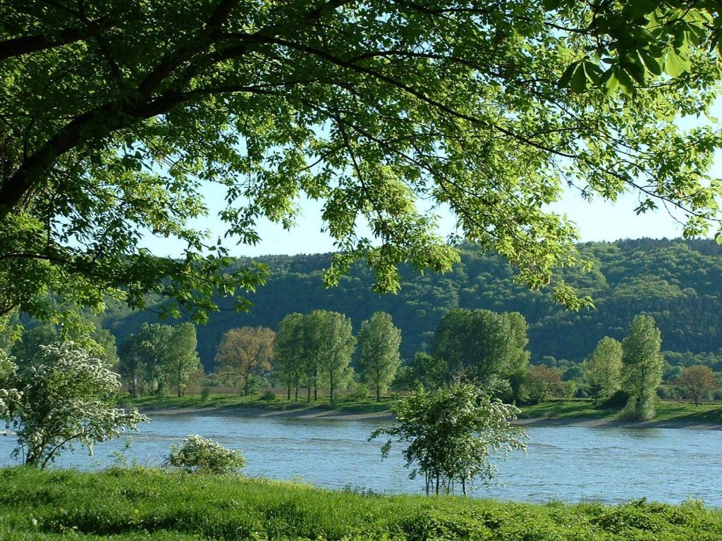 Zur Rheinschanz Бад-Хённинген Экстерьер фото