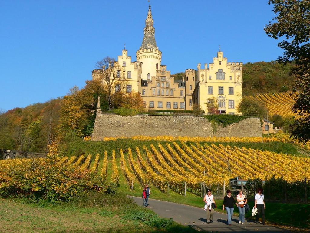 Zur Rheinschanz Бад-Хённинген Экстерьер фото